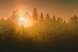 Foggy Sunrise_07955